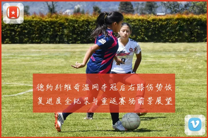 德约科维奇温网夺冠后右膝伤势恢复进度全纪录与重返赛场前景展望