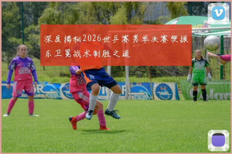 深度揭秘2026世乒赛男单决赛樊振东卫冕战术制胜之道