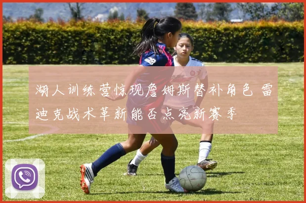 湖人训练营惊现詹姆斯替补角色 雷迪克战术革新能否点亮新赛季